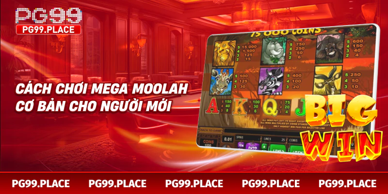 Cách chơi Mega Moolah cơ bản cho người mới